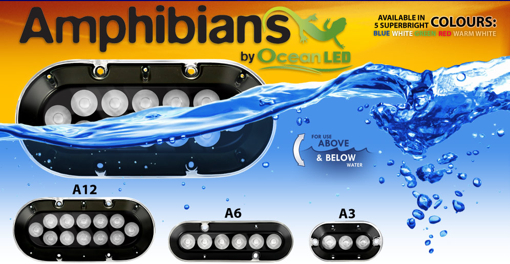 OCEAN LED AMPHIBIAN 12 Marine Electronics Pensacola, FL